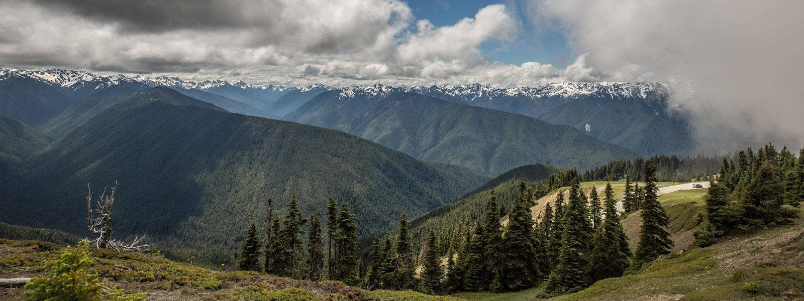 hurricane ridge olympic national park