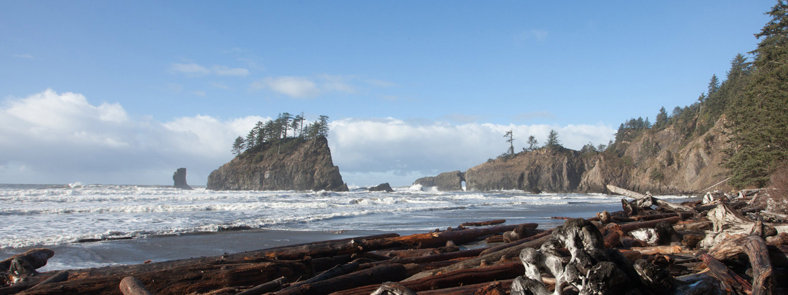 ocean scene pacific northwest beach