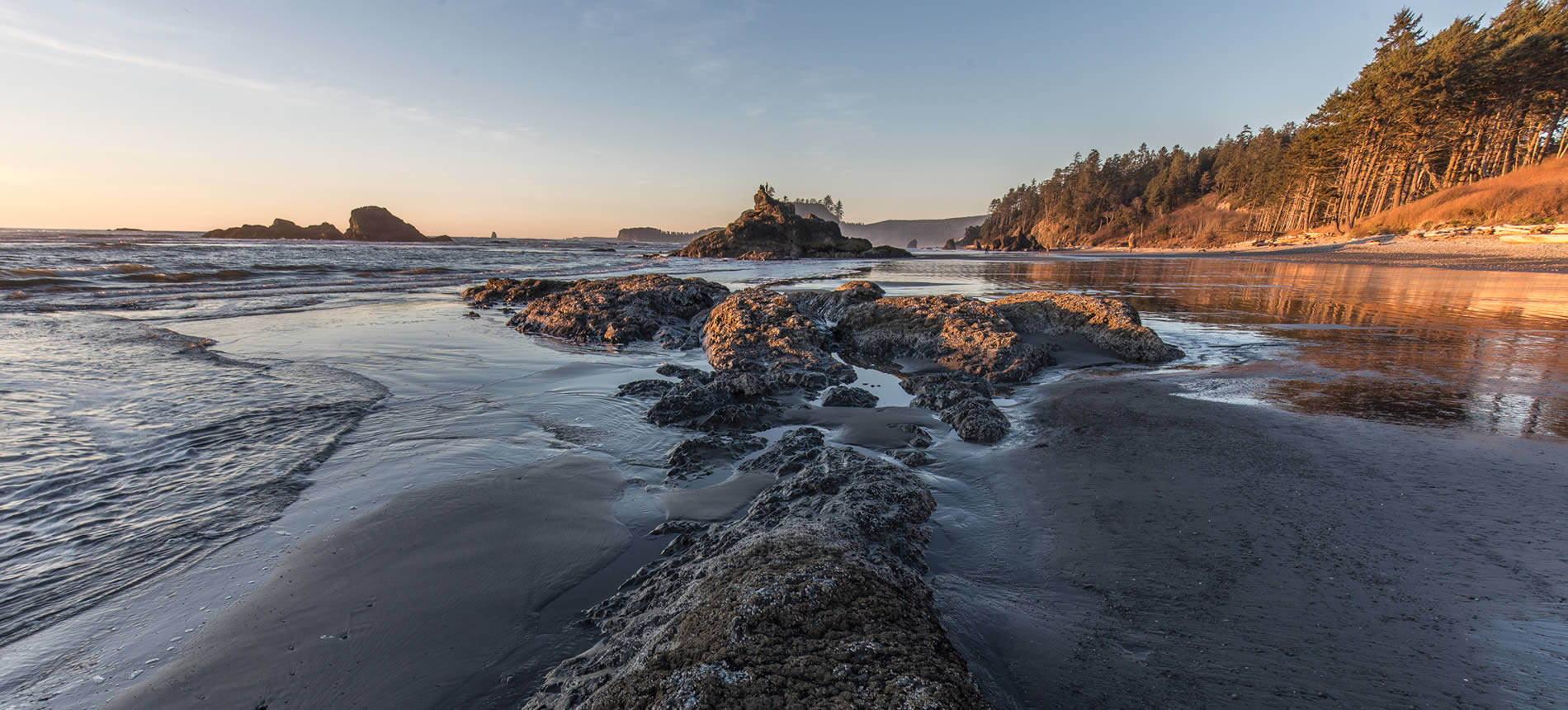 beautiful olympic peninsula beach