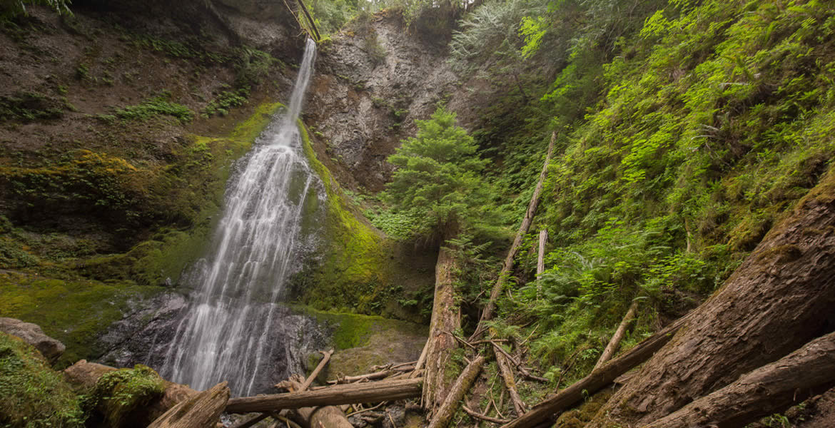 olympic national park waterfall